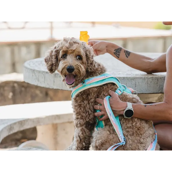 FreeDog Peak Leash Sierra – регулируем повод за кучета