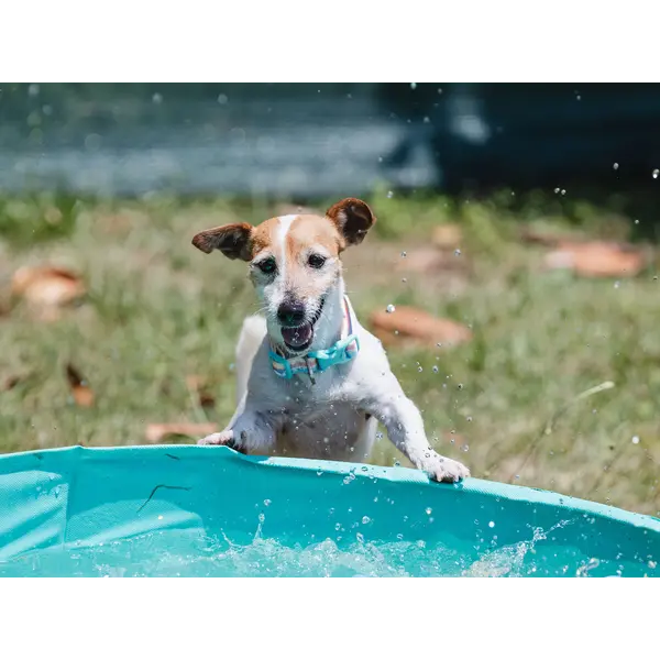 FreeDog Peak Leash Sierra – регулируем повод за кучета