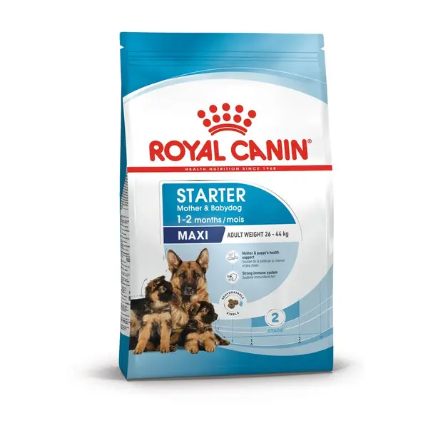 Royal Canin Maxi Starter - суха храна за подрастващи кучета