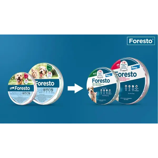 Foresto Large dogs противопаразитна каишка за кучета - 2 БРОЯ КАИШКИ