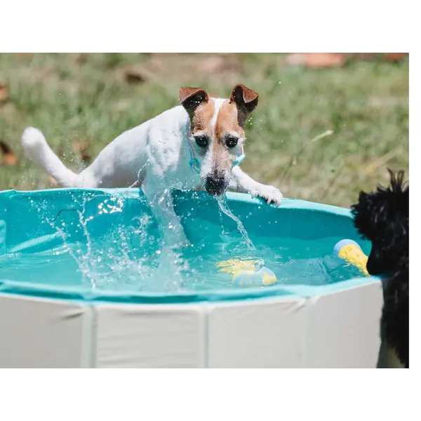Freedog Non-Slip Pool - Басейн за кучета