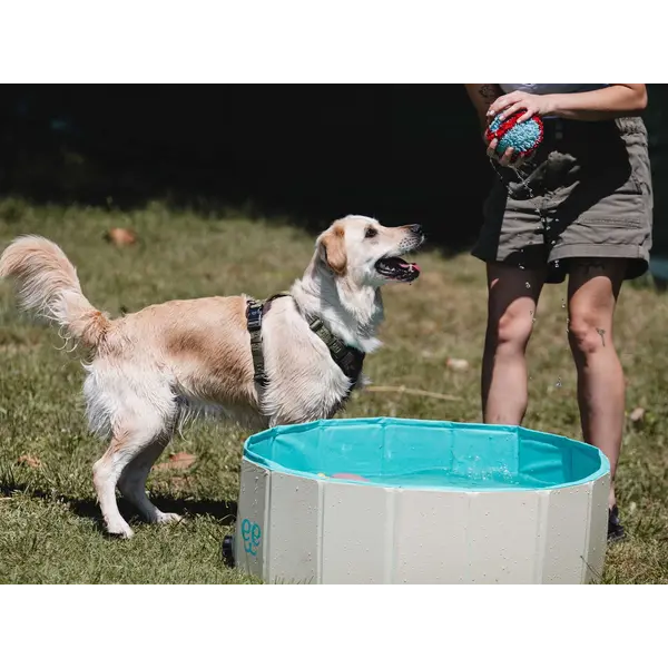 Freedog Non-Slip Pool - Басейн за кучета