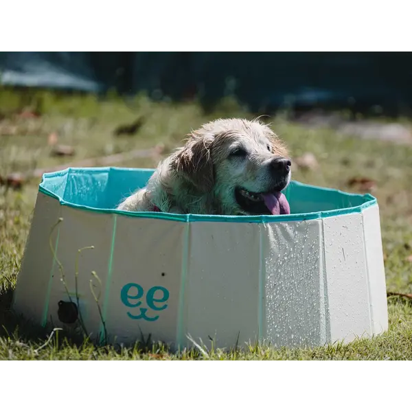 Freedog Non-Slip Pool - Басейн за кучета