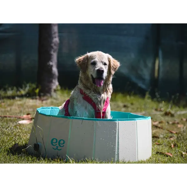 Freedog Non-Slip Pool - Басейн за кучета