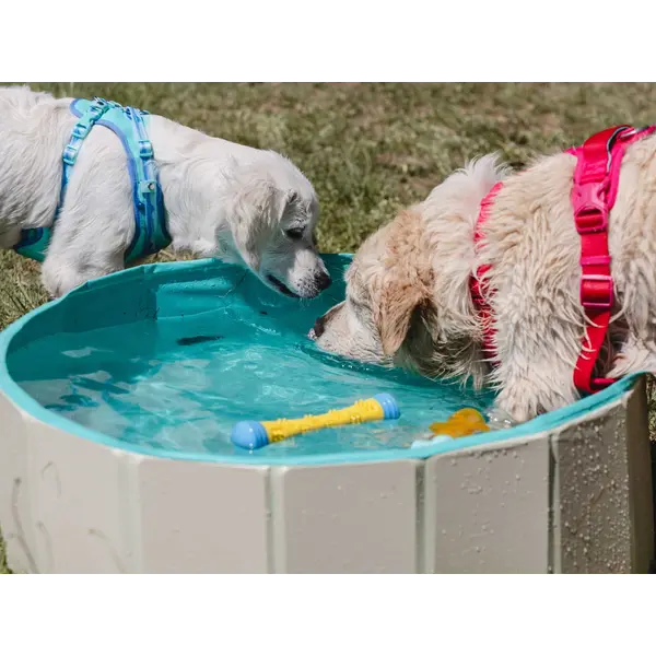 Freedog Non-Slip Pool - Басейн за кучета