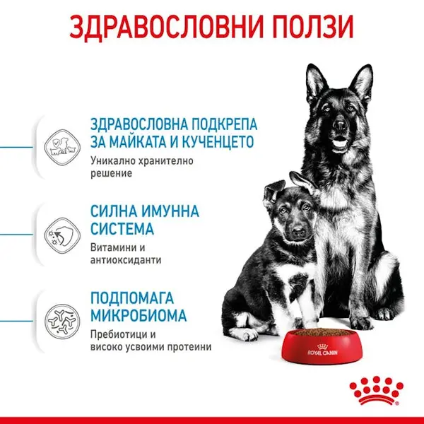 Royal Canin Maxi Starter - суха храна за подрастващи кучета