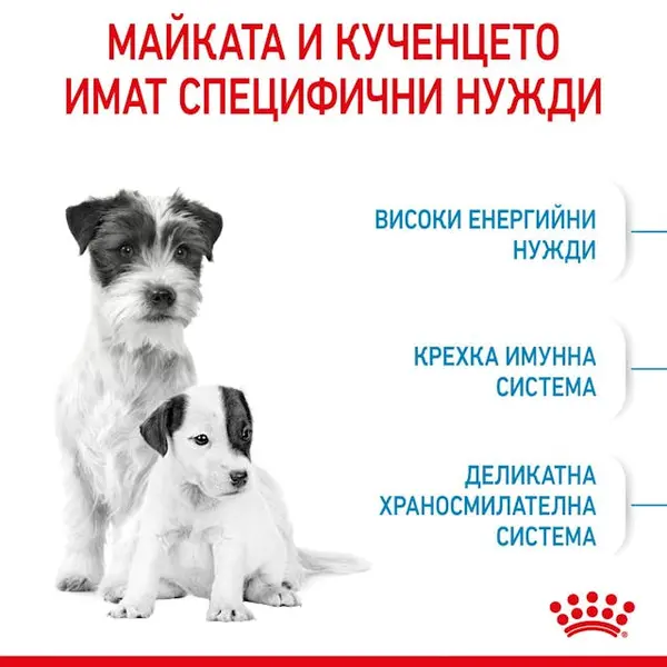 ROYAL CANIN® MINI STARTER MOTHER & BABYDOG - суха храна за подрастващи кучета