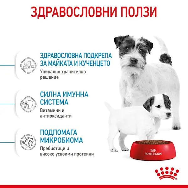 ROYAL CANIN® MINI STARTER MOTHER & BABYDOG - суха храна за подрастващи кучета
