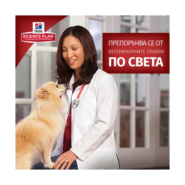 Hill’s Science Plan PERFECT DIGESTION  Small&Mini Adult Dog - Пълноценна суха храна за отлично храносмилане за кучета над 1 година от дребните породи (до 10 кг)  с пилешко и кафяв ориз -  3 кг