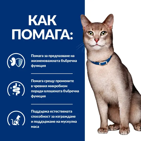 Hill's PRESCRIPTION DIET k/d  - лечебна мокра храна за котки за остра и хронична бъбречна недостатъчност, консерва 156 г