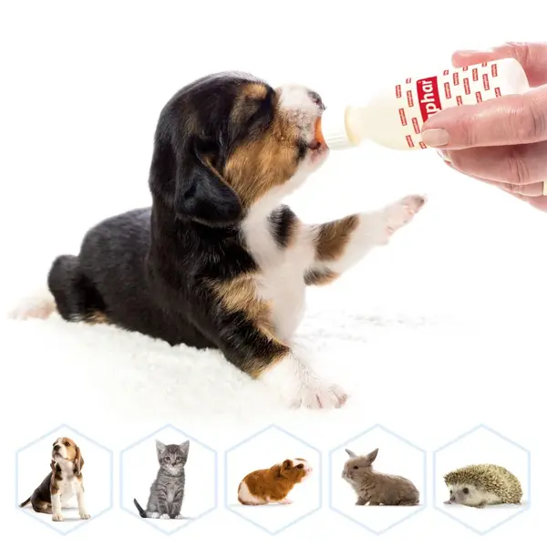 Beaphar Lactol Feeding Set - Комплект за кърмене за кученца и котенца