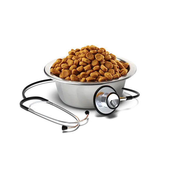Farmina Vet Life Canine Intestinal Ultracare Low Fat - Диета за кучета с екзокринна панкреатитна недостатъчност