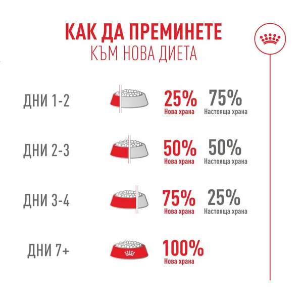 Royal Canin FHN Fussy Cat - Пълноценна суха храна за котки над 1 година с капризен апетит, 10 кг + ПОДАРЪК Sensory smell gravy 12x85g