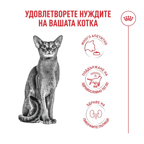 Royal Canin FHN Fussy Cat - Пълноценна суха храна за котки над 1 година с капризен апетит, 10 кг + ПОДАРЪК Sensory smell gravy 12x85g