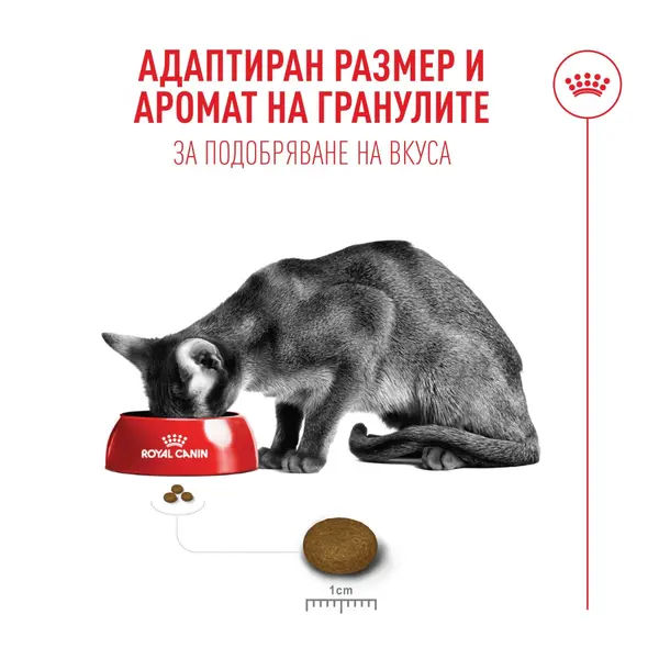 Royal Canin FHN Fussy Cat - Пълноценна суха храна за котки над 1 година с капризен апетит, 10 кг + ПОДАРЪК Sensory smell gravy 12x85g