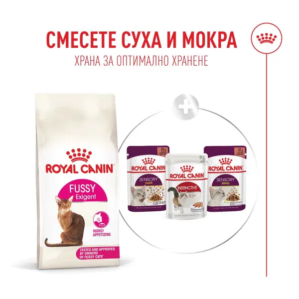 Royal Canin FHN Fussy Cat - Пълноценна суха храна за котки над 1 година с капризен апетит, 10 кг + ПОДАРЪК Sensory smell gravy 12x85g