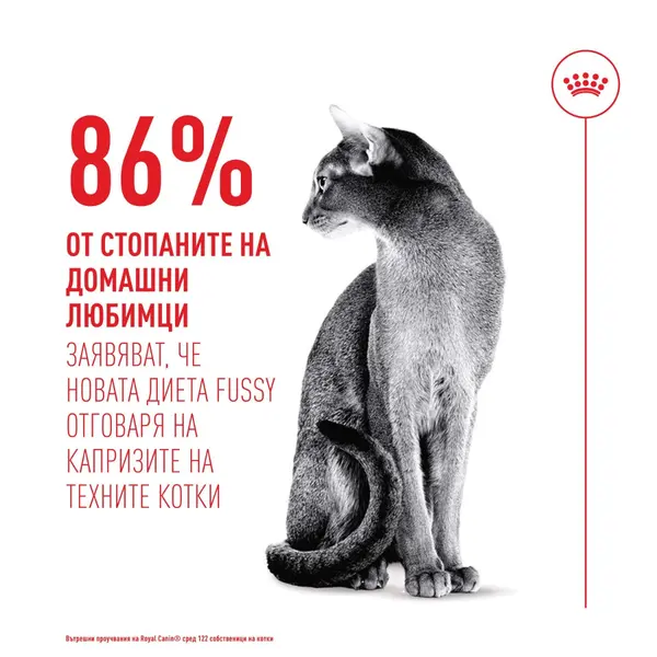Royal Canin FHN Fussy Cat - Пълноценна суха храна за котки над 1 година с капризен апетит, 10 кг + ПОДАРЪК Sensory smell gravy 12x85g