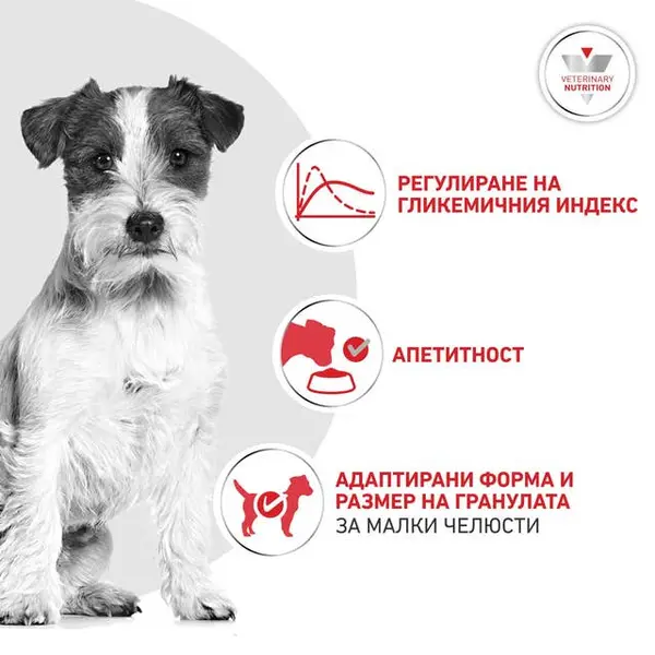 Royal Canin VHN Glycobalance Small Dog - Пълноценна диетична храна за кучета от дребни породи за pегулиране нивата на кръвна захар (диабет) - 1,5 кг