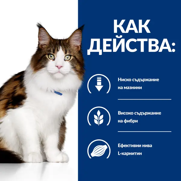 Hill's PRESCRIPTION DIET w/d Multi Benefit pouch - лечебна мокра храна за котки за котки с колит, запек, мегаколон и за поддържане на телесно тегло и регулиранена липидния метаболизъм при хиперлипидемия - 12 бр x 85 г