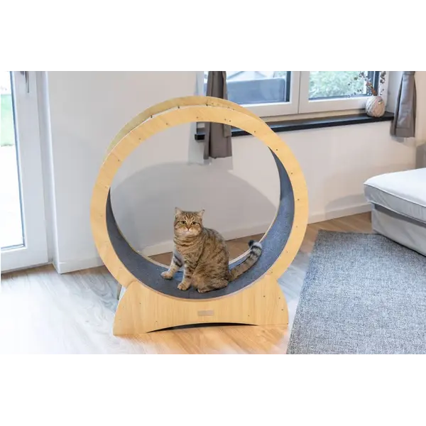 Kerbl Cat exercise wheel - Колело за фитнес за котки 90 см