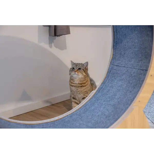 Kerbl Cat exercise wheel - Колело за фитнес за котки 90 см