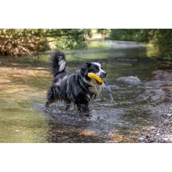 Кербл Dog Toy Aqua - Играчка за куче осморка с въже, плаваща