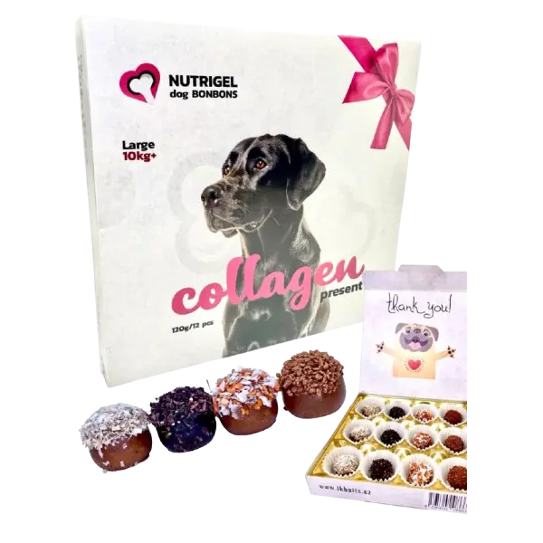Nutrigel Collagen Collection - Бонбониера с лакомства с колаген за кучета над 10 кг