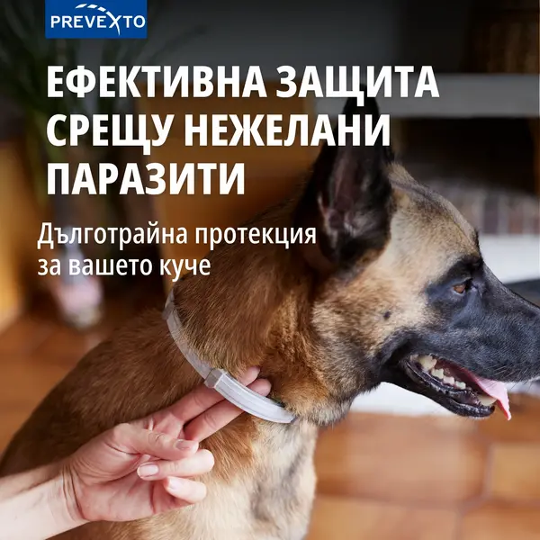 Virbac PREVEXTO® - противопаразитна каишка  за малки кучета до 8 кг