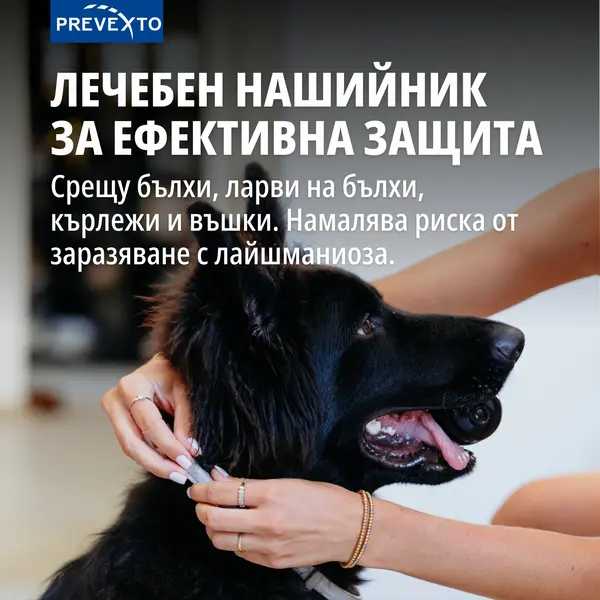 Virbac PREVEXTO® - противопаразитна каишка  за малки кучета до 8 кг