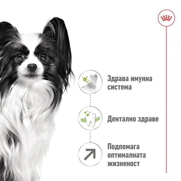 Royal Canin X-Small Adult 8+  Пълноценна суха храна за кучета от миниатюрни породи в напреднала възраст над 8 години, 1,5 кг