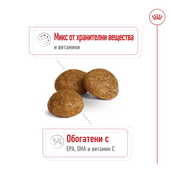 Royal Canin X-Small Adult 8+  Пълноценна суха храна за кучета от миниатюрни породи в напреднала възраст над 8 години, 1,5 кг