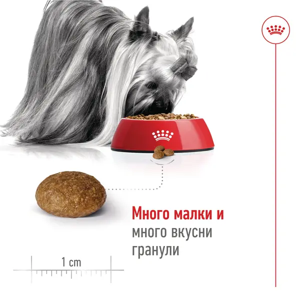 Royal Canin X-Small Adult 8+  Пълноценна суха храна за кучета от миниатюрни породи в напреднала възраст над 8 години, 1,5 кг