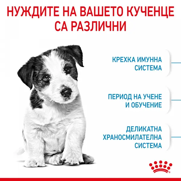 ROYAL CANIN MINI PUPPY - суха храна за подрастващи кучета 8 кг + подарък MINI PUPPY POUCH 12x85g