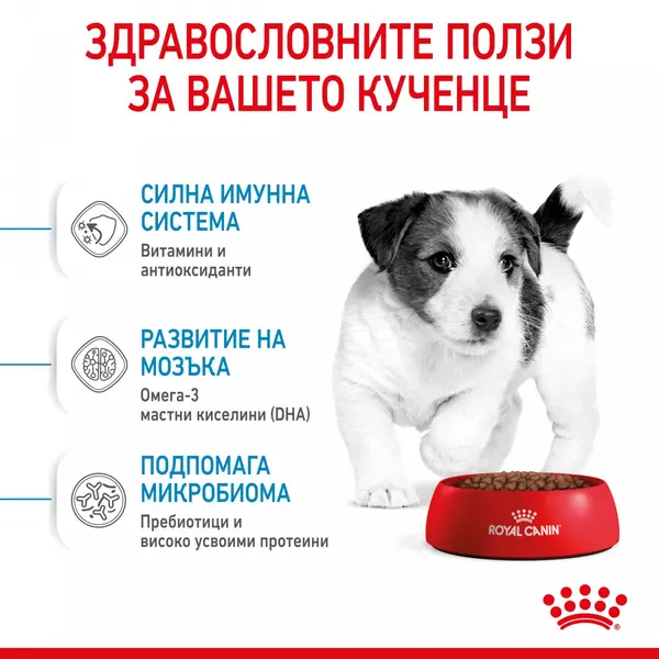 ROYAL CANIN MINI PUPPY - суха храна за подрастващи кучета 8 кг + подарък MINI PUPPY POUCH 12x85g