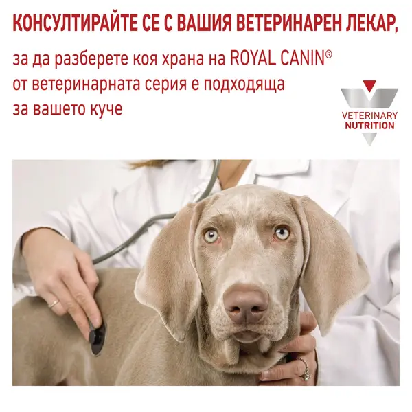 Royal Canin Urinary S/O Dog - Лечебна мокра храна за кучета с уринарни проблми - 200 г