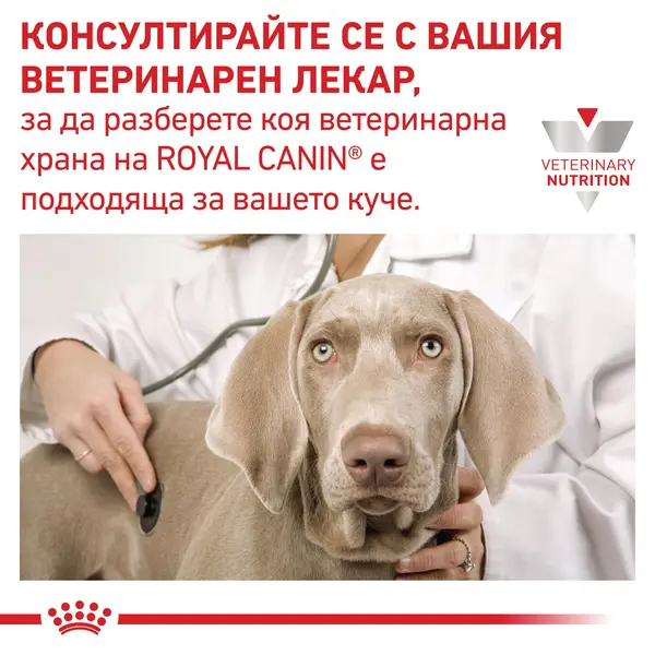Royal Canin Gastrointestinal Low Fat Dog - лечебна мокра храна за кучета при хиперлипидемия - 200 г