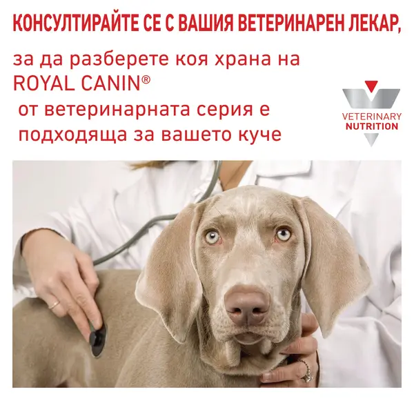 Royal Canin Hypoallergenic Dog  - лечебна мокра храна за кучета с хранителни алергиии - 200 г