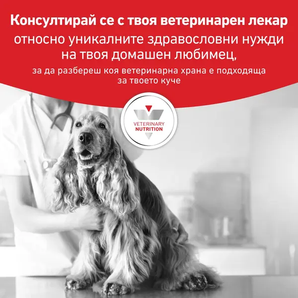 Royal Canin Hypoallergenic Dog  - лечебна мокра храна за кучета с хранителни алергиии - 200 г