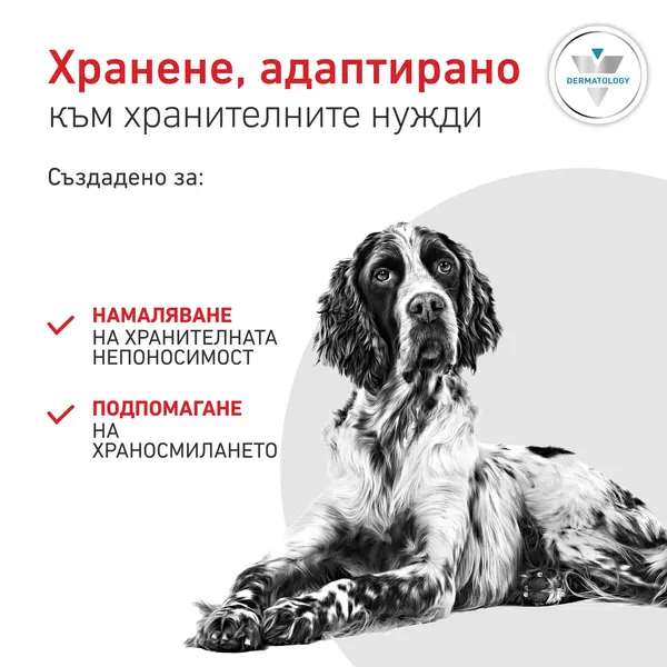Royal Canin Hypoallergenic Dog  - лечебна мокра храна за кучета с хранителни алергиии - 200 г