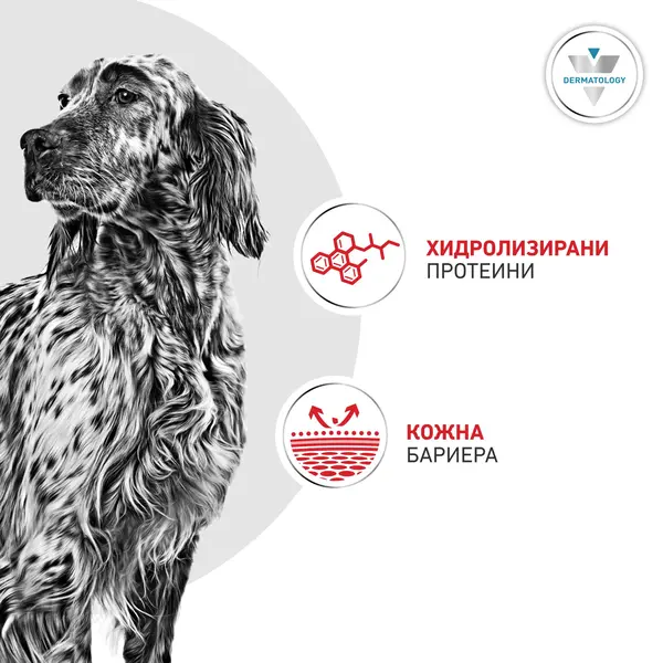 Royal Canin Hypoallergenic Dog  - лечебна мокра храна за кучета с хранителни алергиии - 200 г