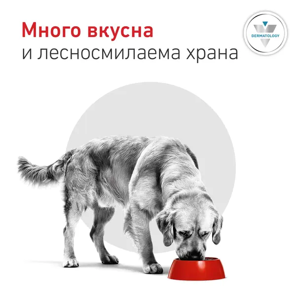 Royal Canin Hypoallergenic Dog  - лечебна мокра храна за кучета с хранителни алергиии - 200 г