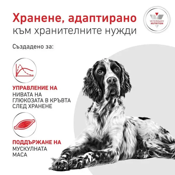 Royal Canin VHN Glycobalance Low Carbohydrate loaf - Диетична мокра храна за кучета за pегулиране нивата на кръвна захар (диабет) - консерва с пастет 410 г