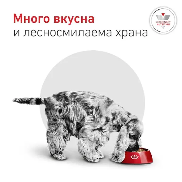 Royal Canin VHN Glycobalance Small Dog - Пълноценна диетична храна за кучета от дребни породи за pегулиране нивата на кръвна захар (диабет) - 1,5 кг