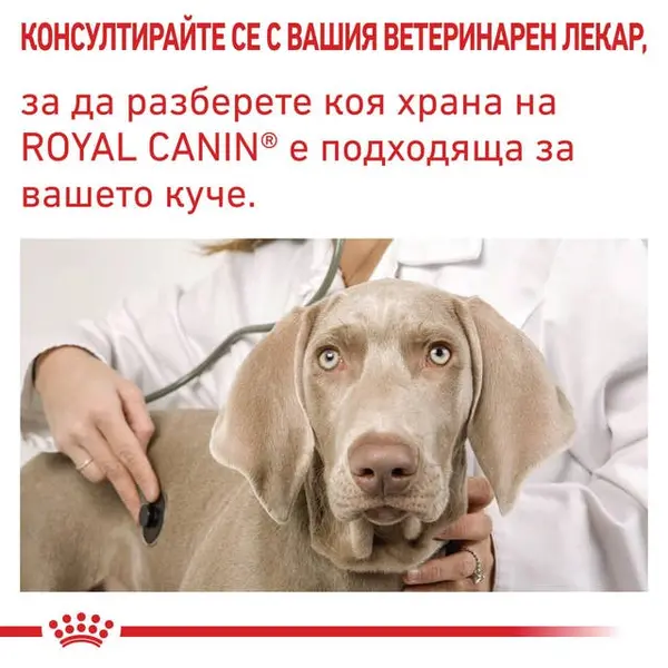 Royal Canin Urinary S/O Dog - лечебна мокра храна за кучета при заболявания в долната част на уринарния тракт  - 410 г