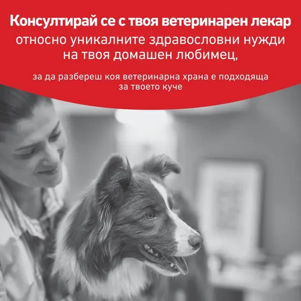 Royal Canin VHN Glycobalance Small Dog - Пълноценна диетична храна за кучета от дребни породи за pегулиране нивата на кръвна захар (диабет) - 1,5 кг