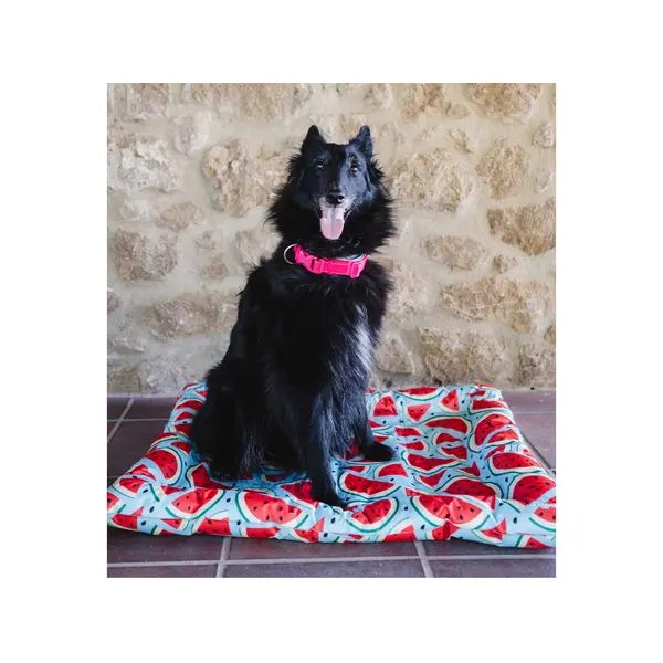 FreeDog Cooling Cushion WATERMELON - охлаждащо лего с мек борд