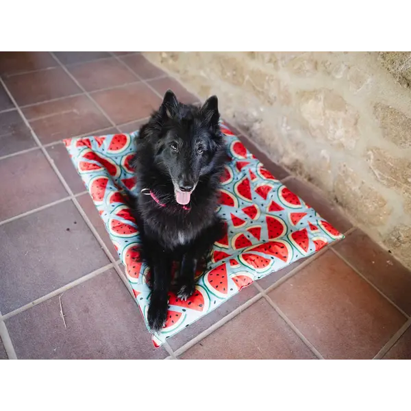 FreeDog Cooling Cushion WATERMELON - охлаждащо лего с мек борд
