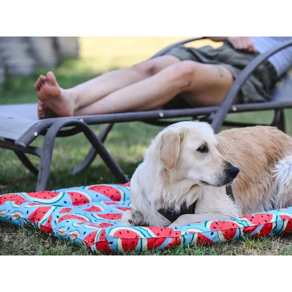 FreeDog Cooling Cushion WATERMELON - охлаждащо лего с мек борд