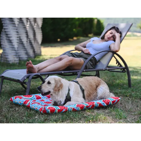 FreeDog Cooling Cushion WATERMELON - охлаждащо лего с мек борд