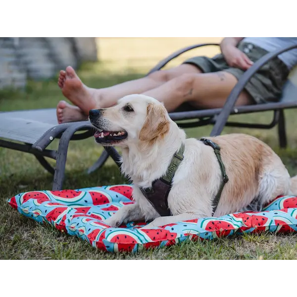 FreeDog Cooling Cushion WATERMELON - охлаждащо лего с мек борд